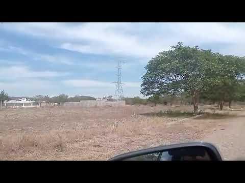 Previsualización del video