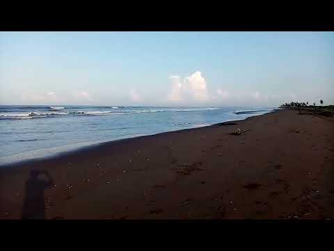 Previsualización del video