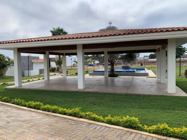 Foto de la galeria de imagenes