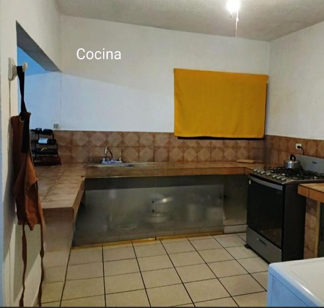 Foto de la galeria de imagenes