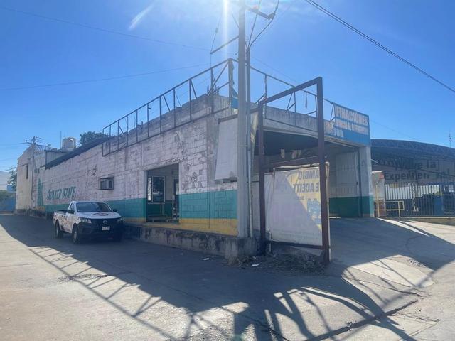 Foto de la galeria de imagenes