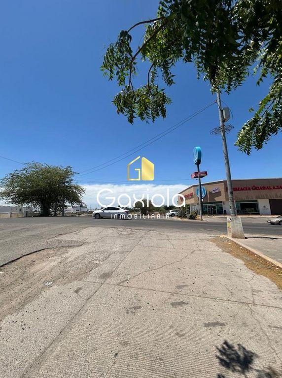 Foto de la galeria de imagenes