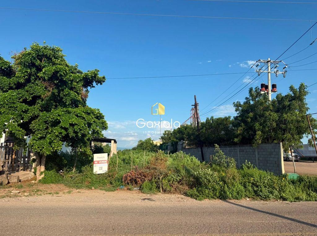 Foto de la galeria de imagenes