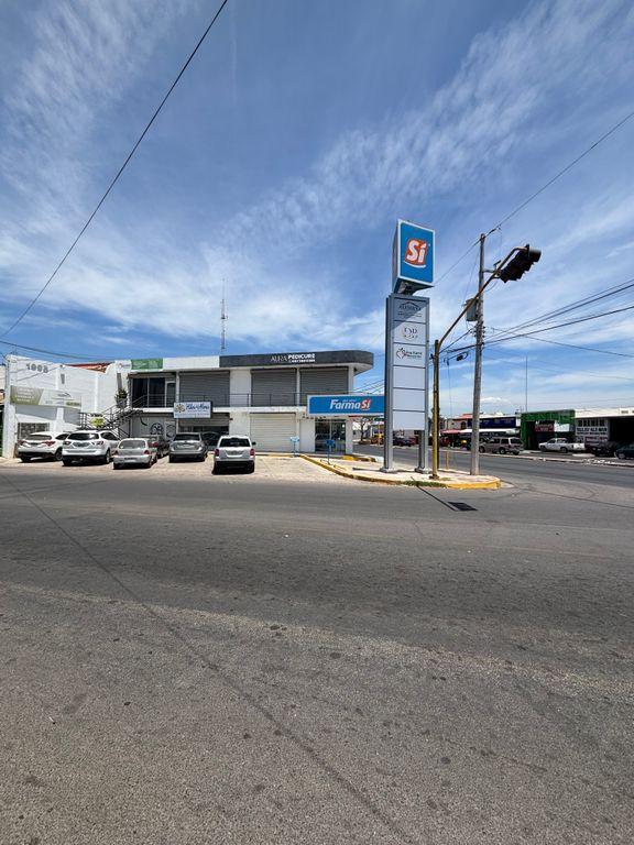 Foto de la galeria de imagenes