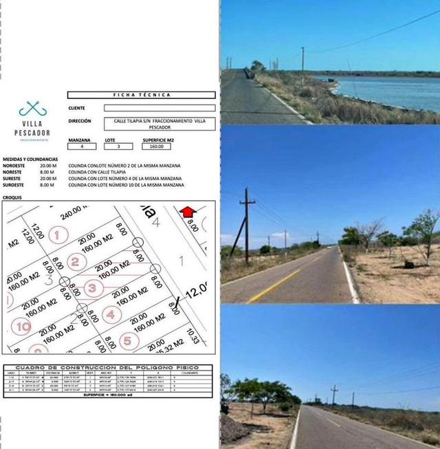 Foto de la galeria de imagenes