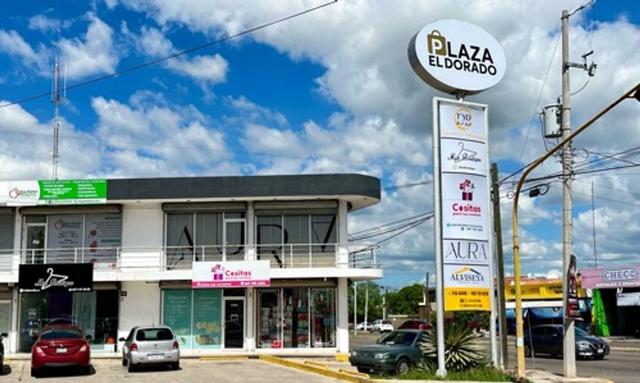 Foto de la galeria de imagenes