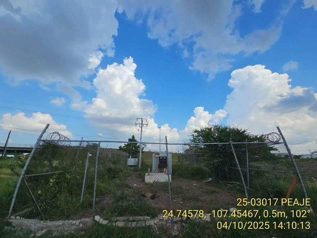 Foto de la galeria de imagenes
