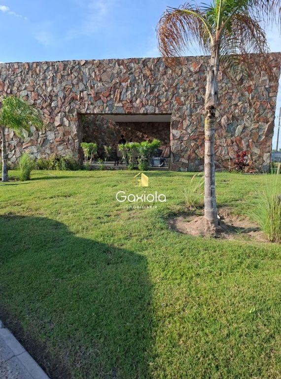 Foto de la galeria de imagenes