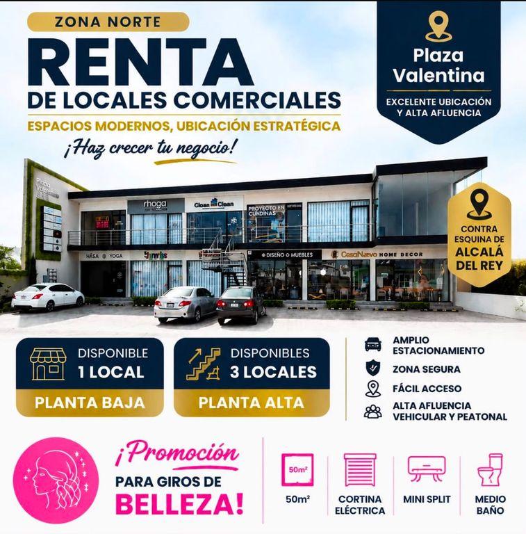 Foto de la galeria de imagenes