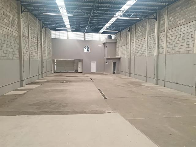 Foto de la galeria de imagenes