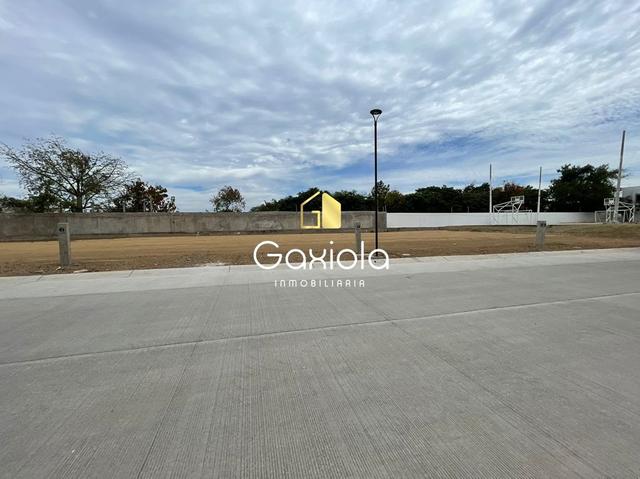 Foto de la galeria de imagenes