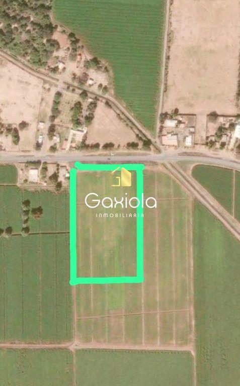 Foto de la galeria de imagenes