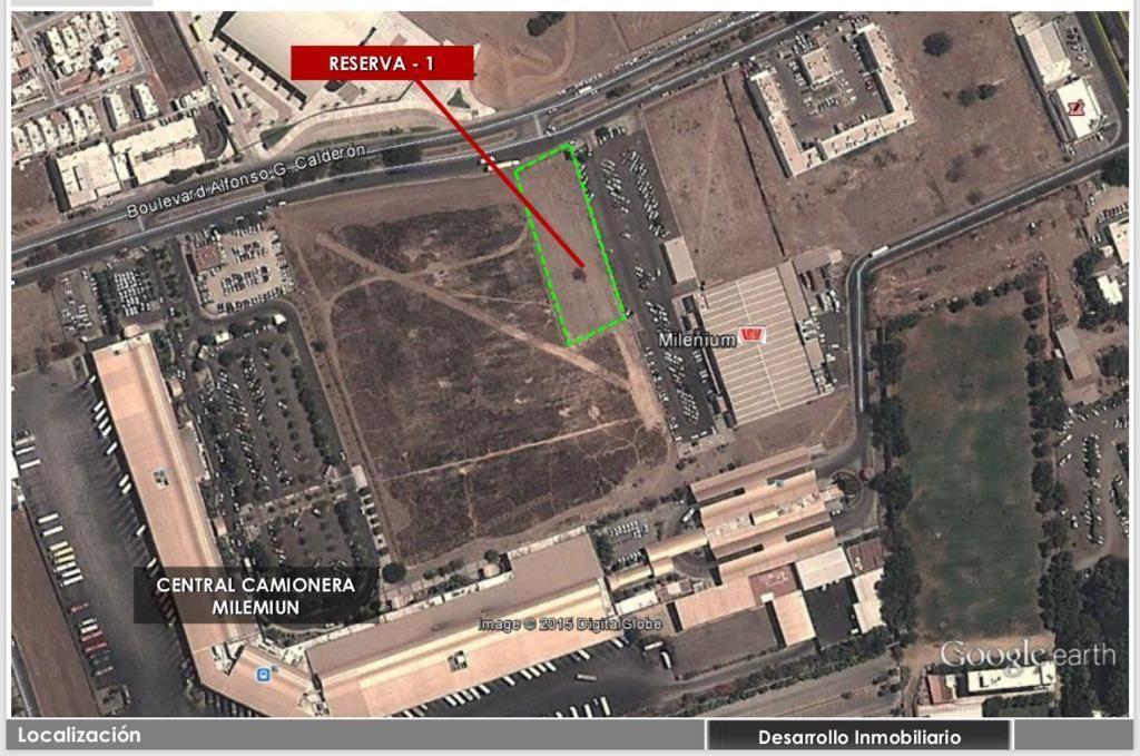 Foto de la galeria de imagenes