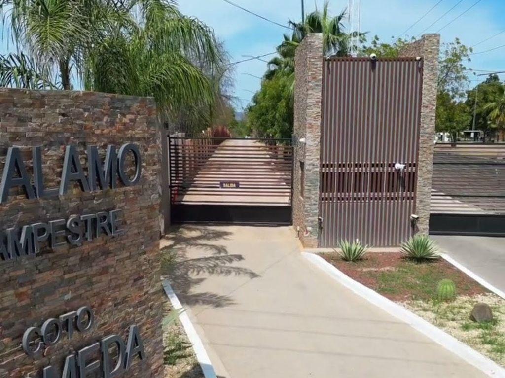 Foto de la galeria de imagenes