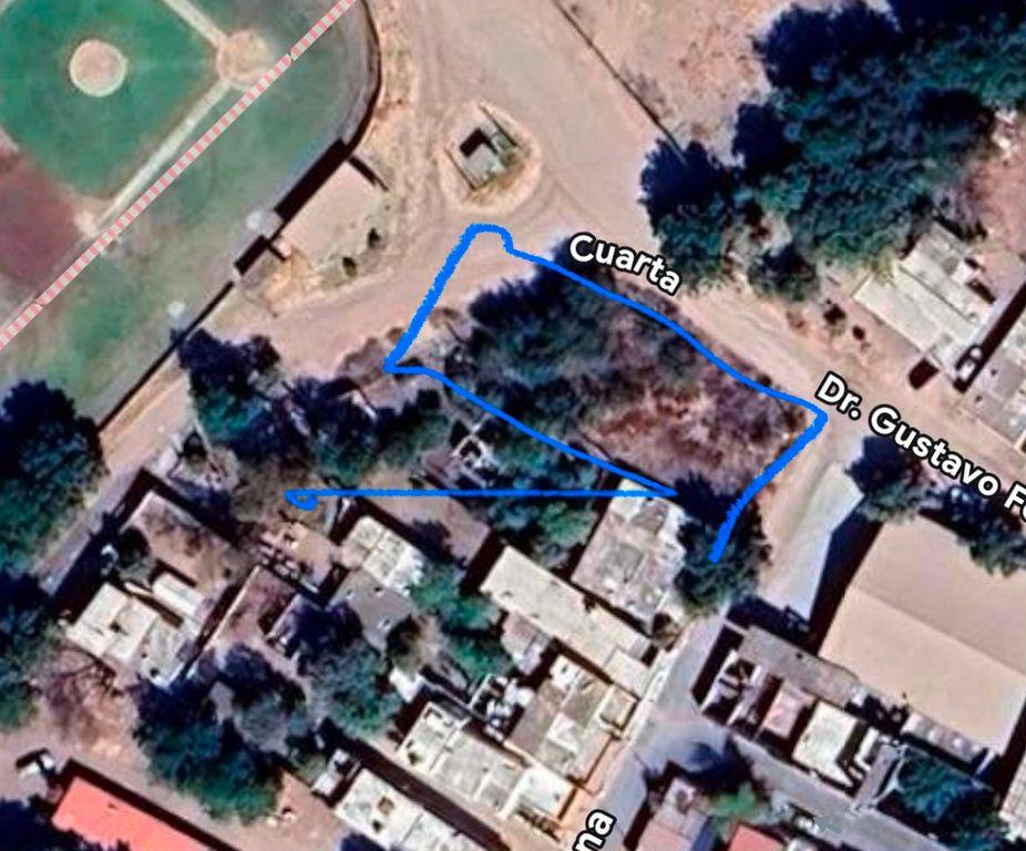 Foto de la galeria de imagenes