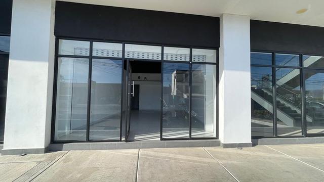 Foto de la galeria de imagenes