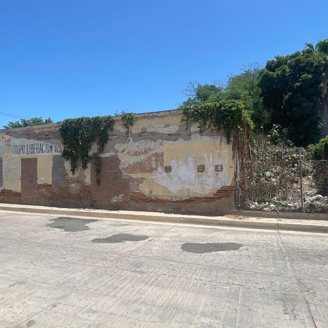 Foto de la galeria de imagenes