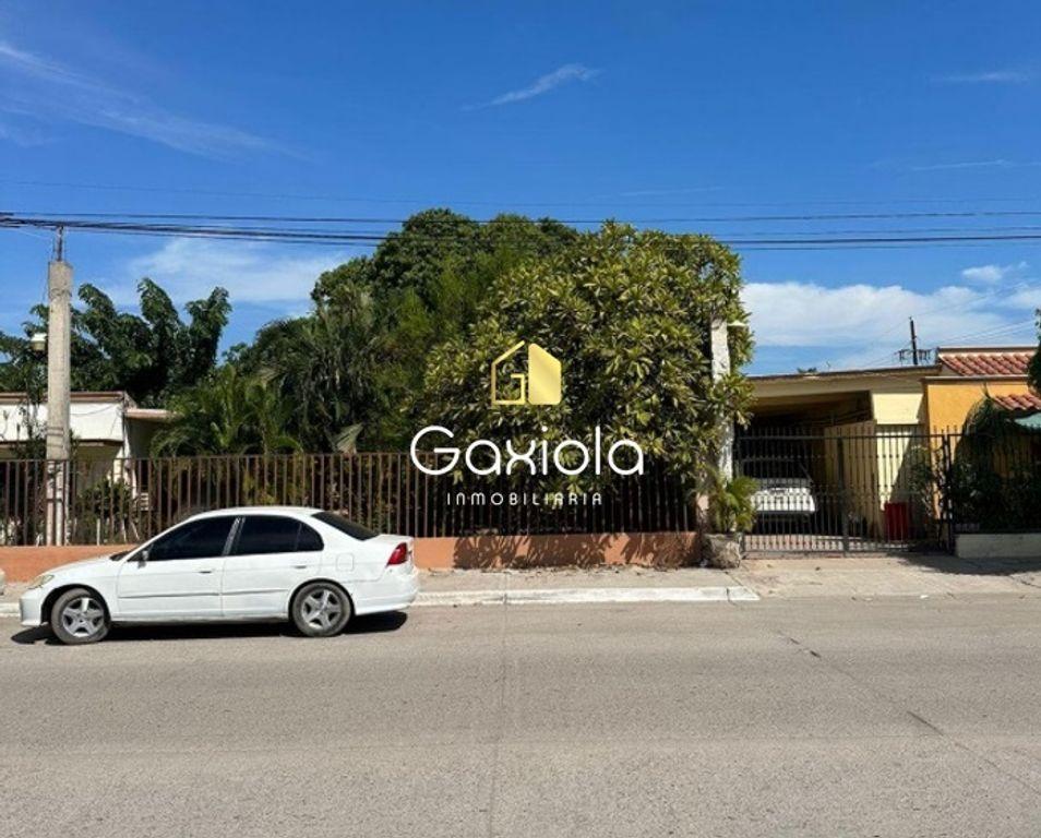Foto de la galeria de imagenes