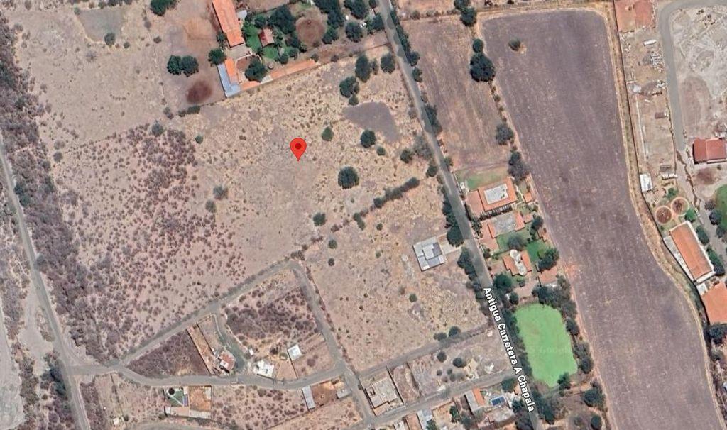Foto de la galeria de imagenes