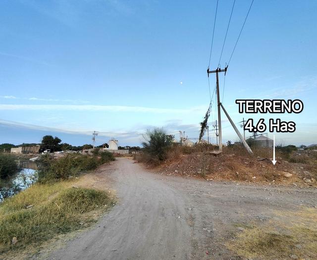 Foto de la galeria de imagenes