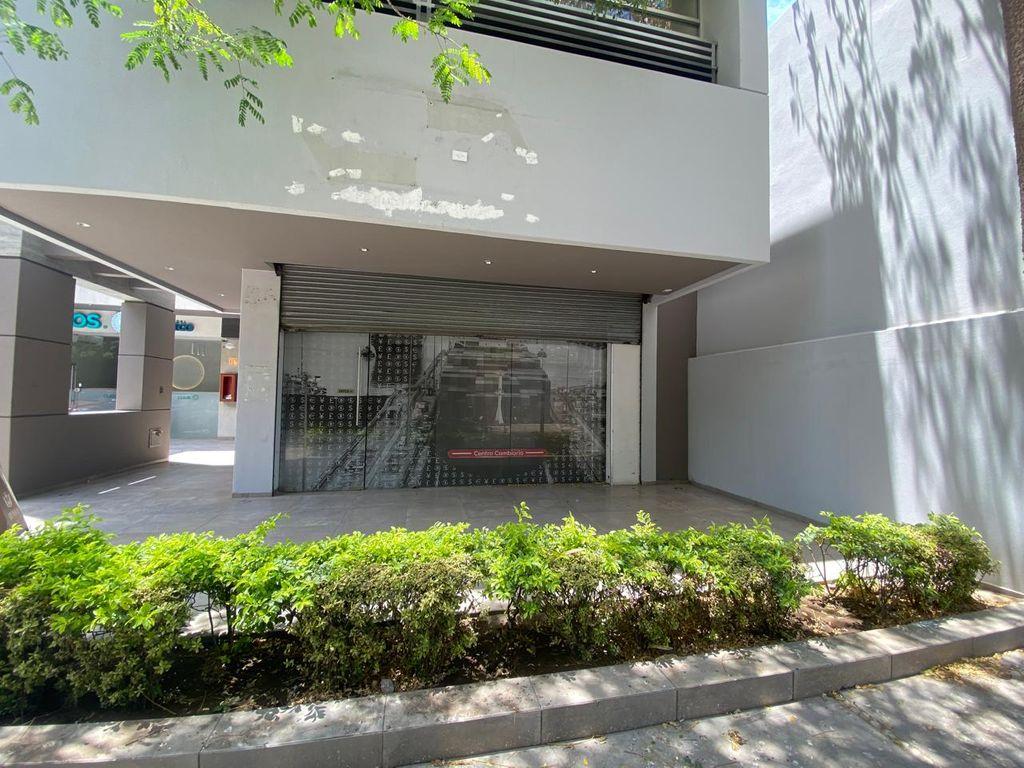 Foto de la galeria de imagenes