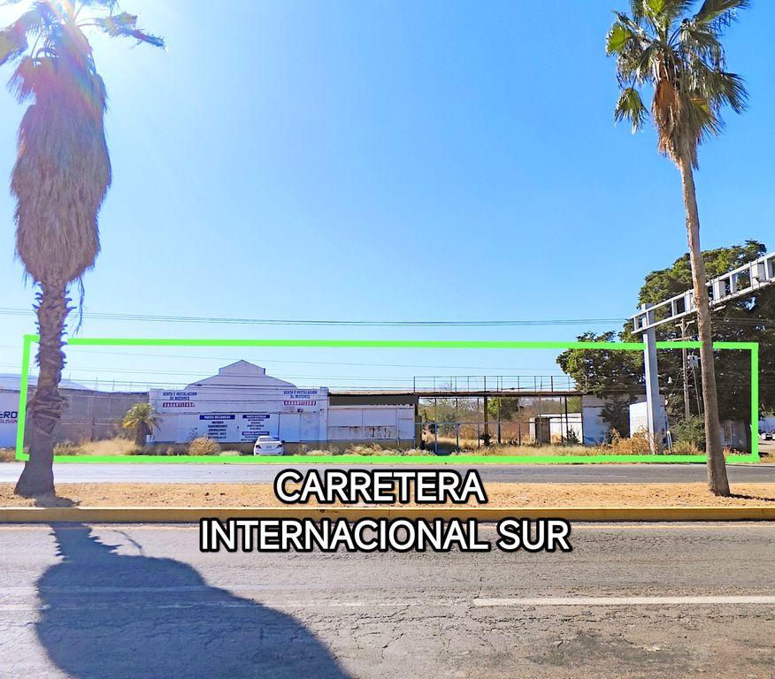 Foto de la galeria de imagenes