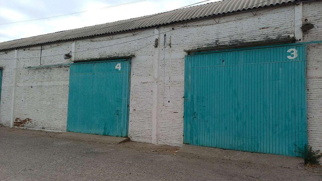 Foto de la galeria de imagenes