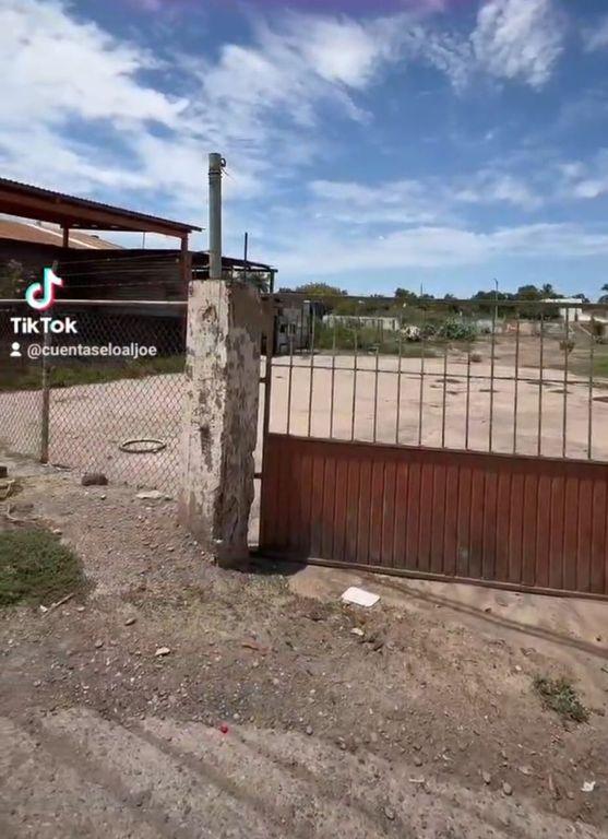 Foto de la galeria de imagenes