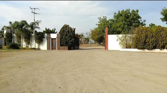 Foto de la galeria de imagenes