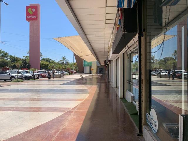Foto de la galeria de imagenes