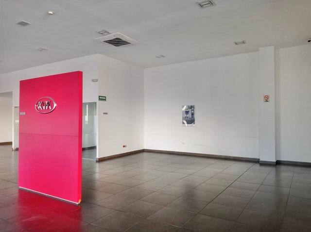 Foto de la galeria de imagenes