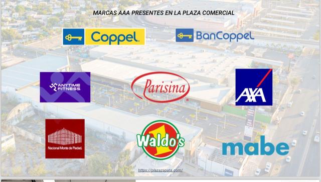 Foto de la galeria de imagenes