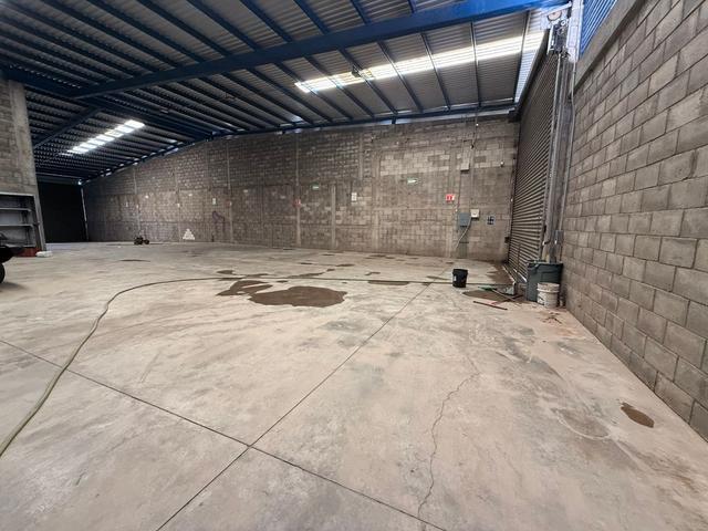 Foto de la galeria de imagenes