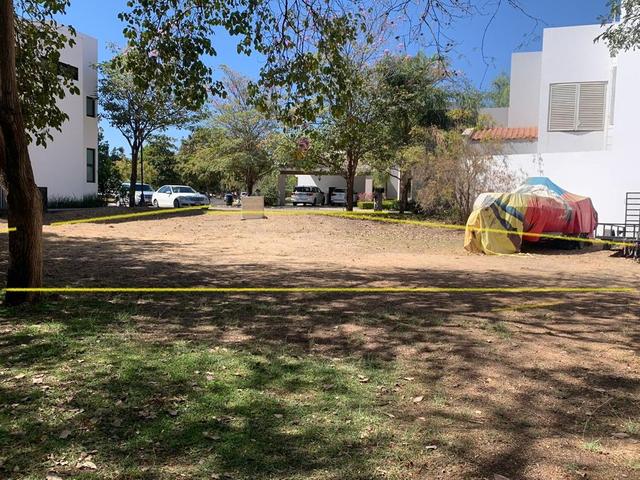 Foto de la galeria de imagenes