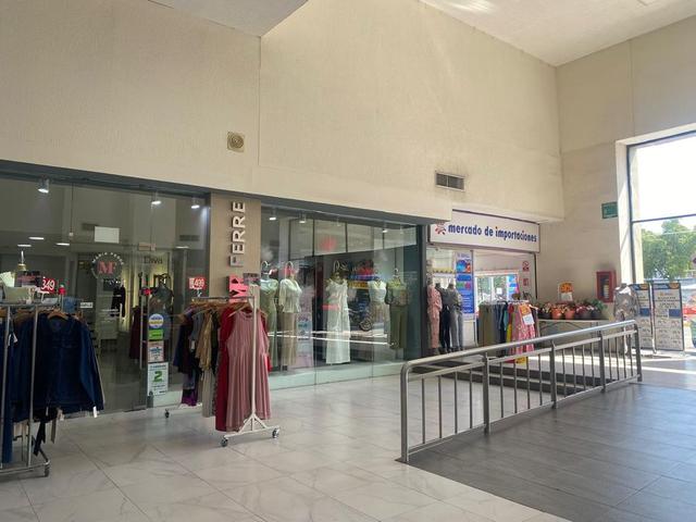 Foto de la galeria de imagenes