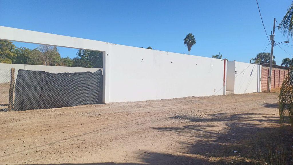 Foto de la galeria de imagenes