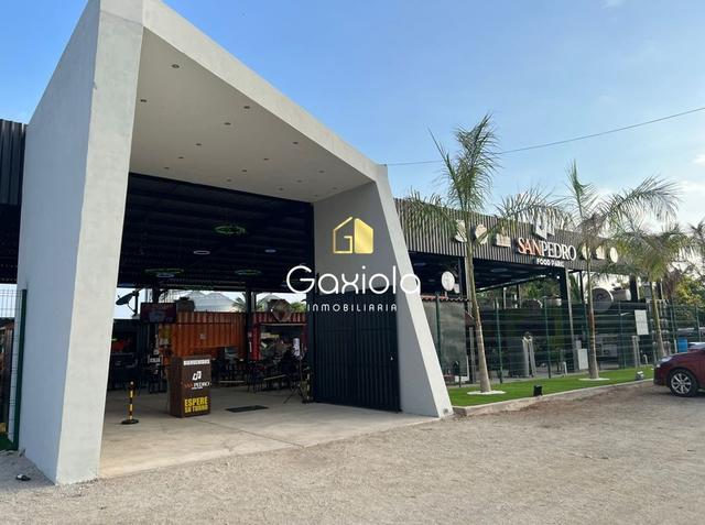 Foto de la galeria de imagenes