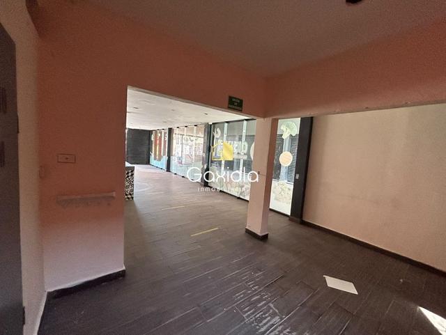 Foto de la galeria de imagenes