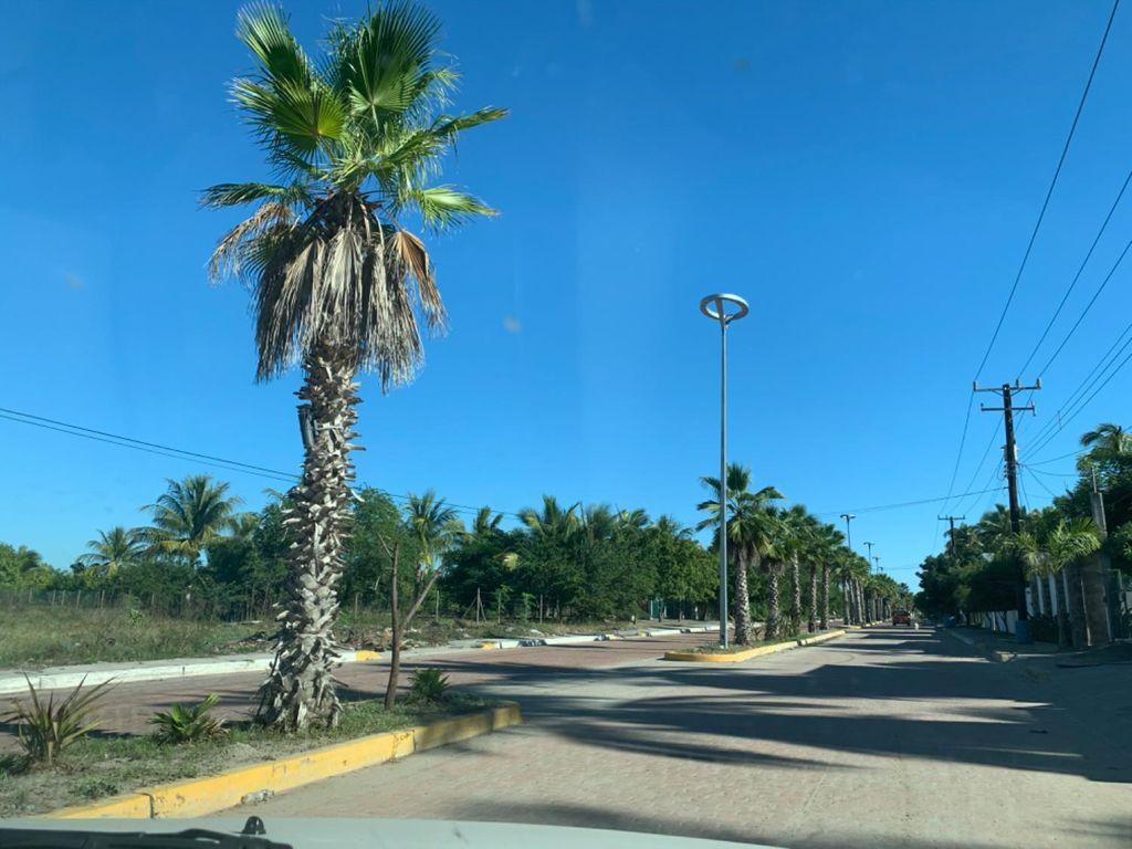 Foto de la galeria de imagenes