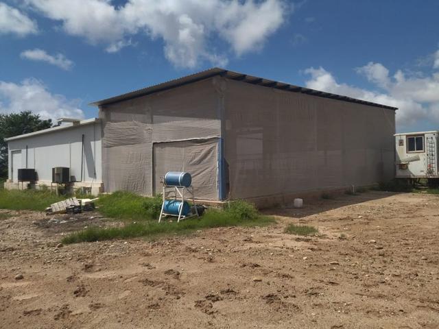 Foto de la galeria de imagenes