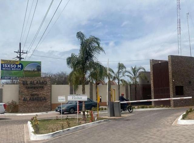 Foto de la galeria de imagenes