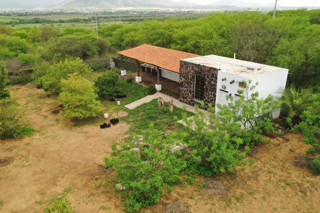 Foto de la galeria de imagenes