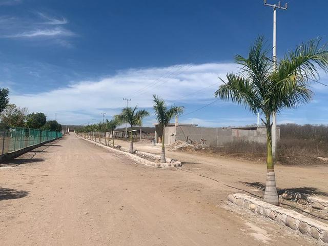 Foto de la galeria de imagenes
