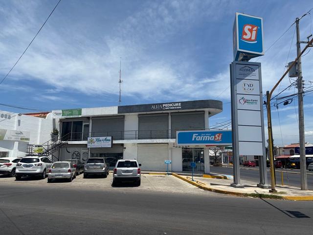 Foto de la galeria de imagenes