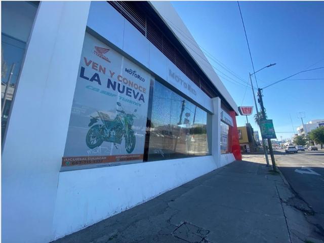 Foto de la galeria de imagenes