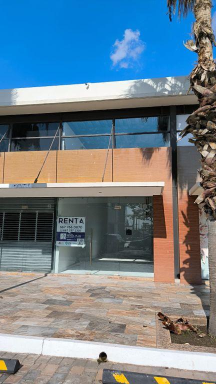 Foto de la galeria de imagenes