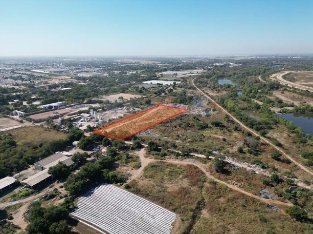 Foto de la galeria de imagenes