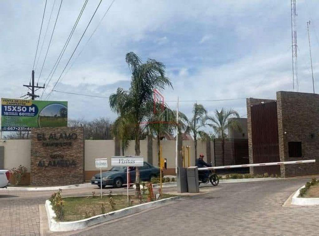 Foto de la galeria de imagenes