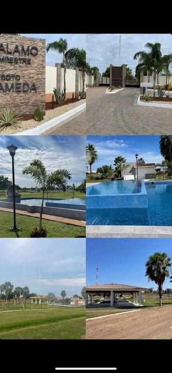 Foto de la galeria de imagenes