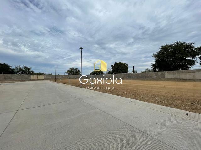 Foto de la galeria de imagenes